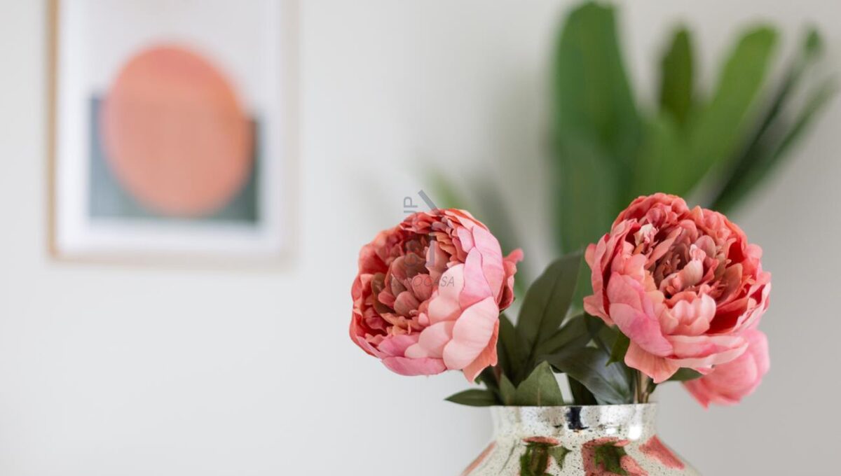 Eurocasa_R-152_Appartamento_Formigine-10