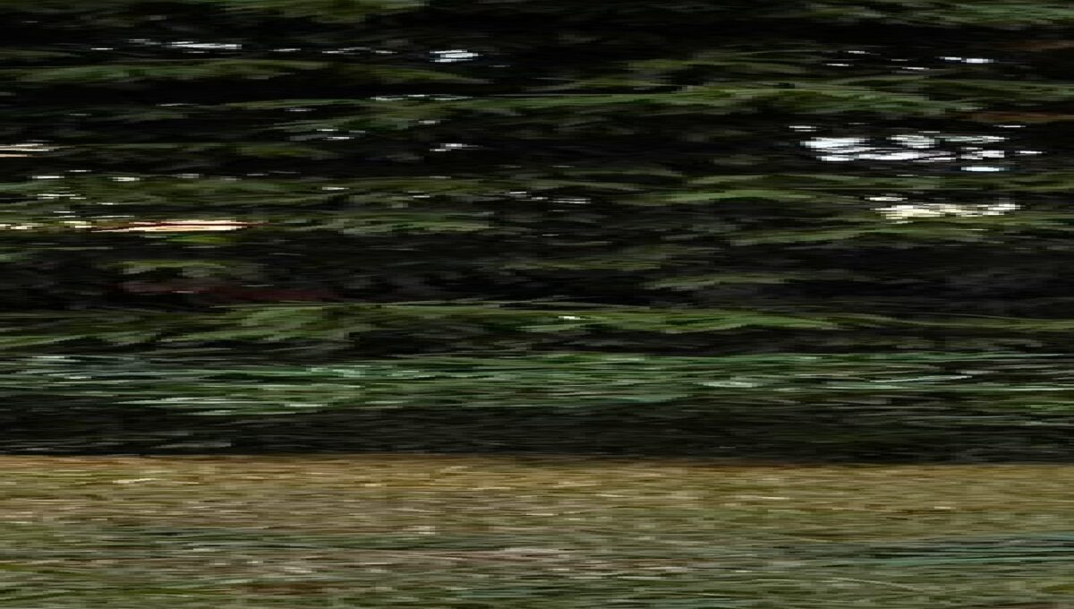 Porzione di Casa Castelnuovo Rangone Castelnuovo Rangone