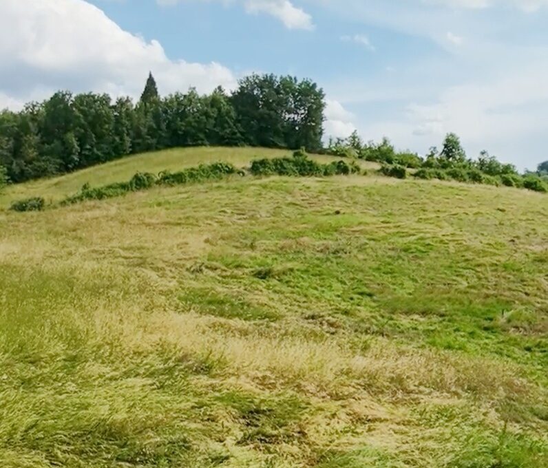 Villa Trifamiliare Maranello Torre Oche