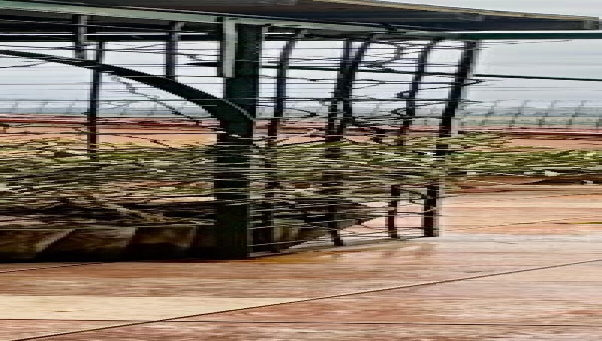 Eurocasa_S-995_Appartamento_Sassuolo-13