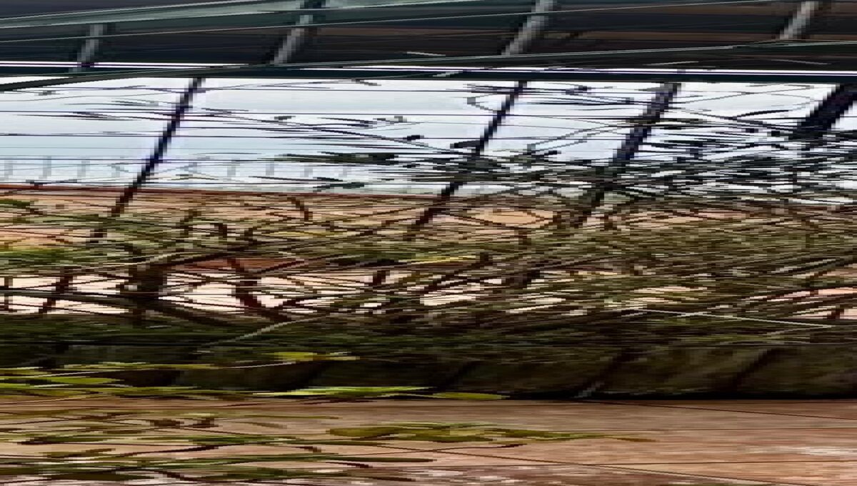 Appartamento Sassuolo Sassuolo