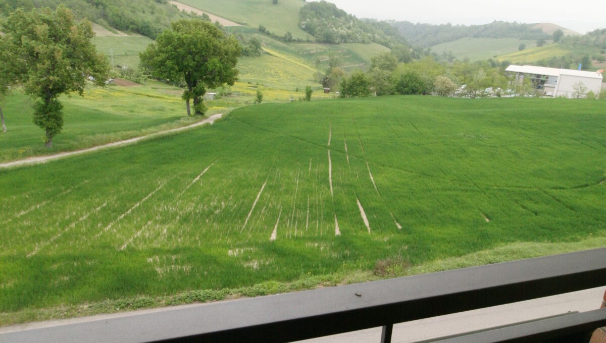 Appartamento Castellarano San Valentino